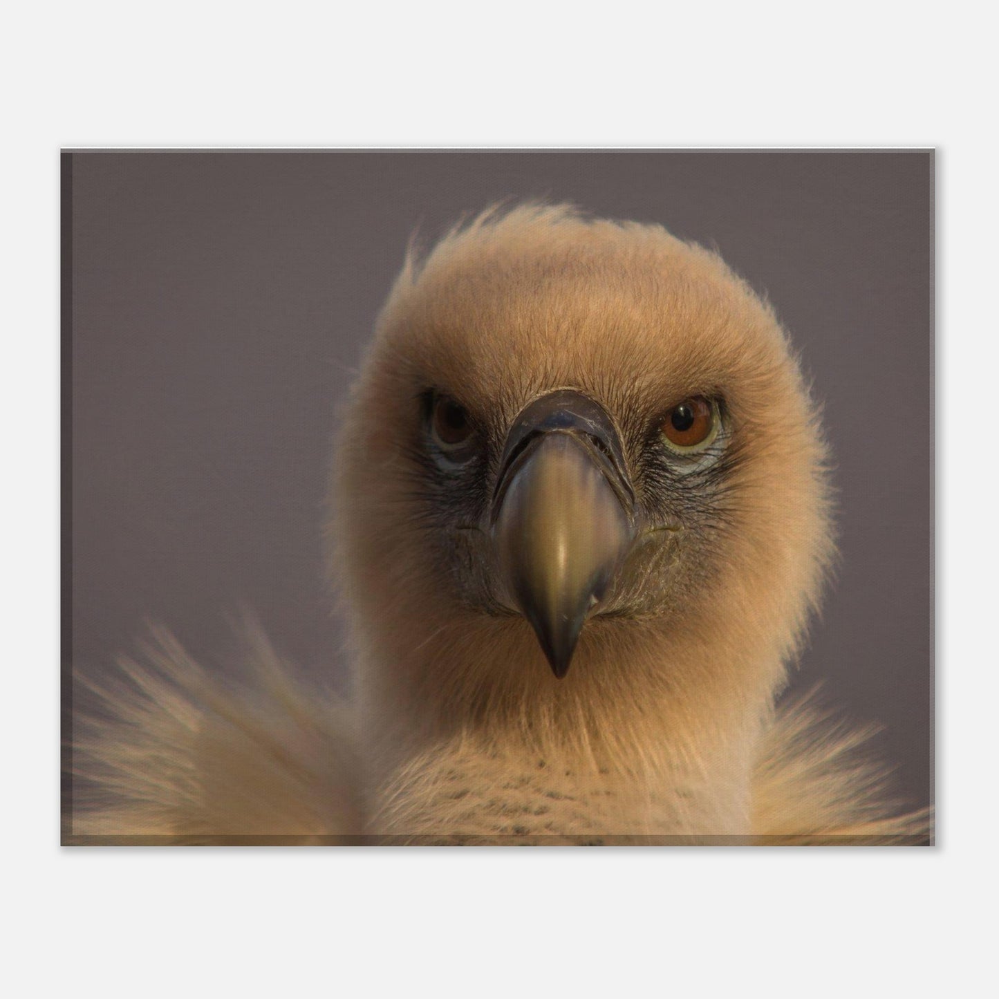 266d2250-a02a-4dad-b7e5-74c9b7e5c10e