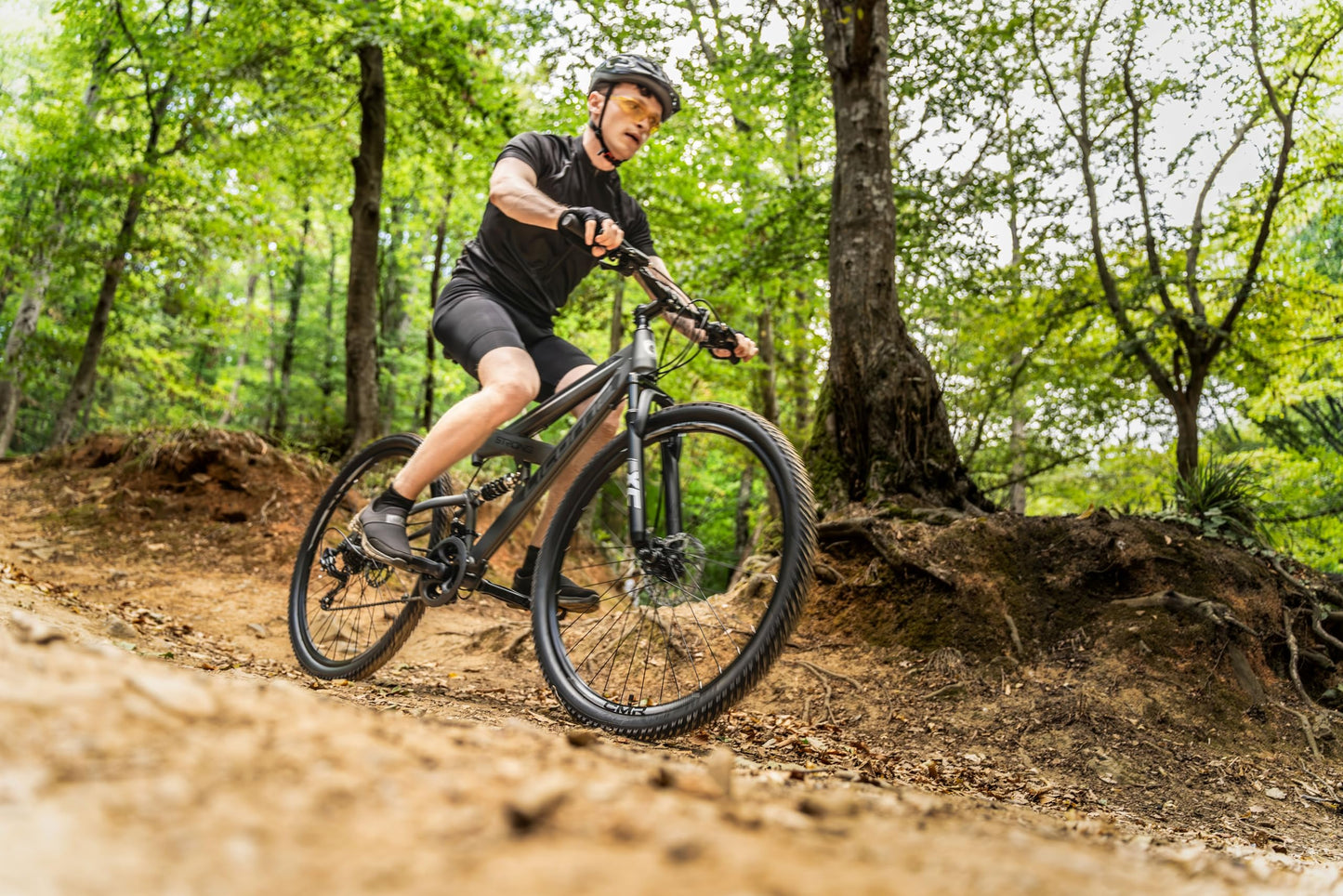 ELB daily Licorne Bike Strong 2D Premium Mountainbike in 26, 27.5 und 29 Zoll Fahrrad für Jungen Mädchen Damen und Herren Scheibenbremse vorne und hinten 21 Gang Schaltung Vollfederung