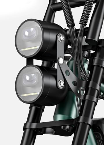 ELB Bigfoot ENGWE E Bike Herren Elektrofahrräder-Ebike mit einem Akku/ 2 Akkus, E-Bike 20 * 4.0 Zoll Fette Reifen, Ebike Herren bis zu 75km/150km/90km/170km, Elektrofahrrad 7-Gang, M20/M1